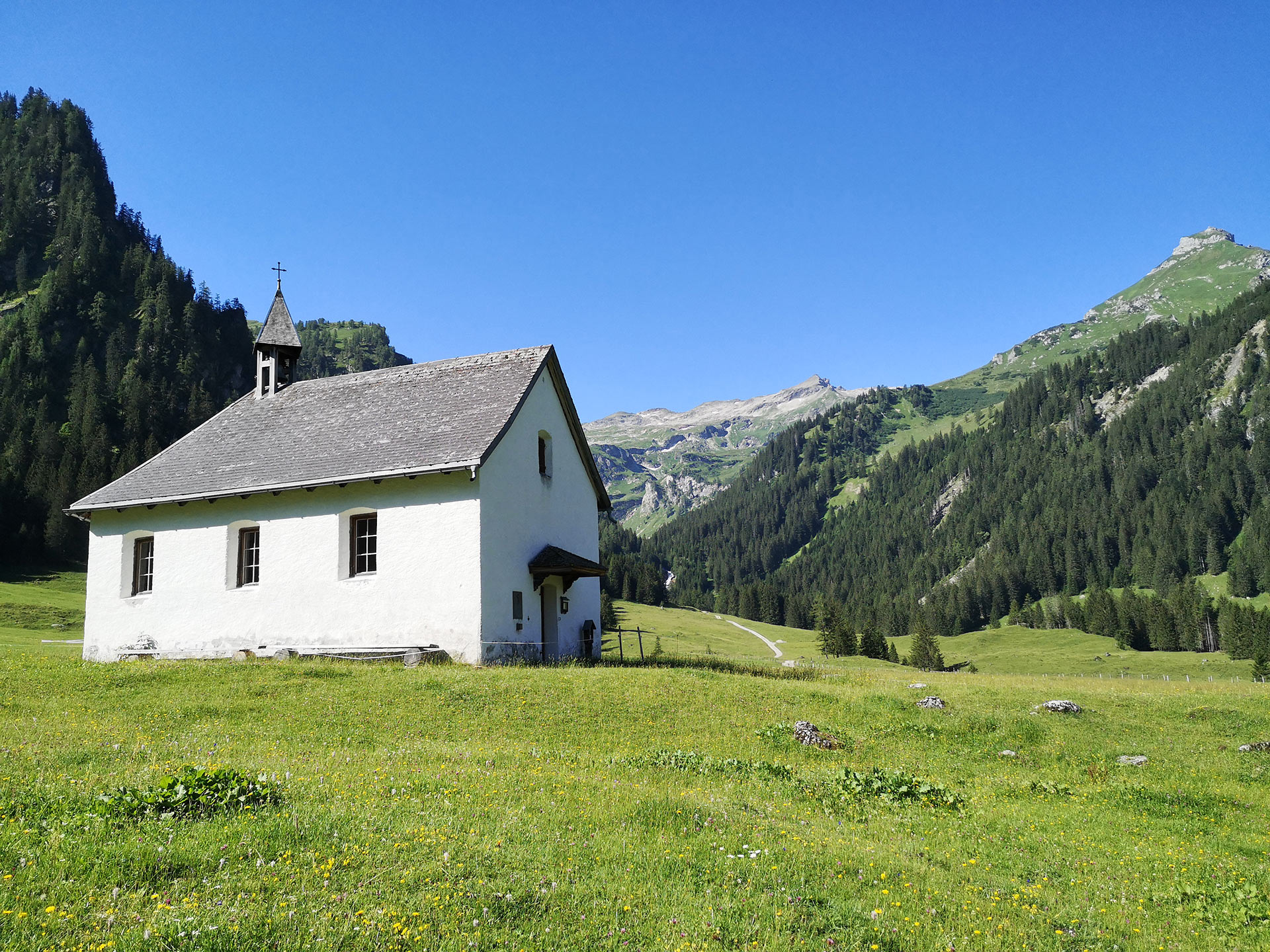Bürgerinitiative Nenzinger Himmel